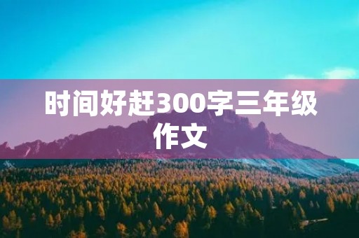 时间好赶300字三年级作文 时间好赶300字三年级作文