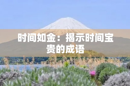 时间如金:揭示时间宝贵的成语 时间如金:揭示时间宝贵的成语