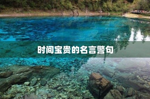 时间宝贵的名言警句，时间宝贵的名言警句有哪些