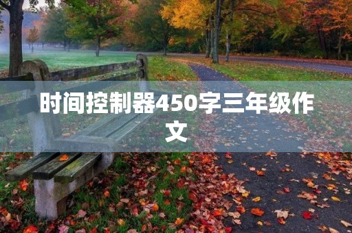 时间控制器450字三年级作文