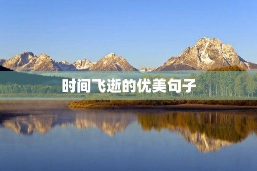 时间飞逝的优美句子，时间飞逝的优美句子简短