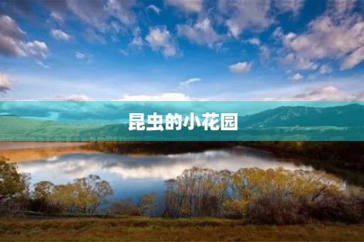昆虫的小花园