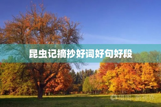 昆虫记摘抄好词好句好段,昆虫记摘抄好词好句好段第一章 昆虫记摘抄好词好句好段,昆虫记摘抄好词好句好段第一章