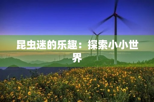 昆虫迷的乐趣：探索小小世界