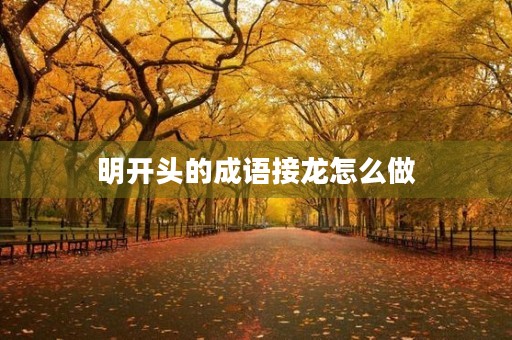 明开头的成语接龙怎么做