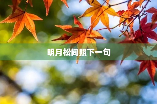 明月松间照下一句,明月松间照下一句诗是什么? 明月松间照下一句,明月松间照下一句诗是什么?