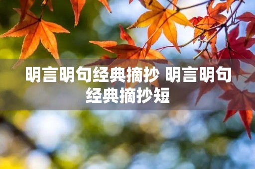 明言明句经典摘抄 明言明句经典摘抄短 明言明句经典摘抄 明言明句经典摘抄短
