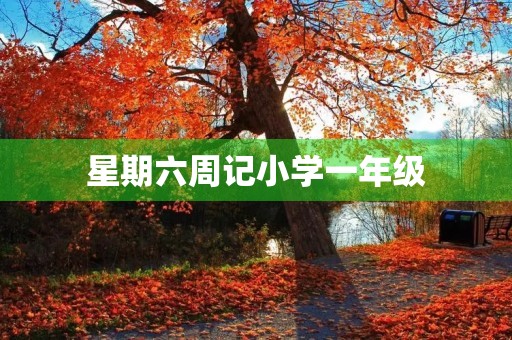 星期六周记小学一年级 星期六周记小学一年级