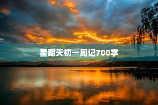 星期天初一周记700字 星期天初一周记700字