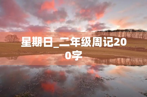 星期日_二年级周记200字