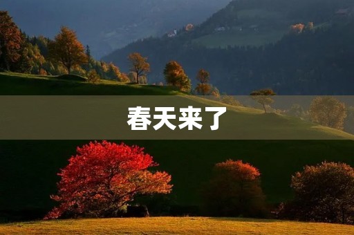 春天来了,花开满园 春天来了,花开满园