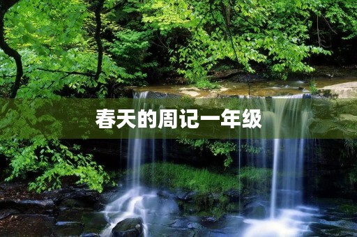 春天的周记一年级