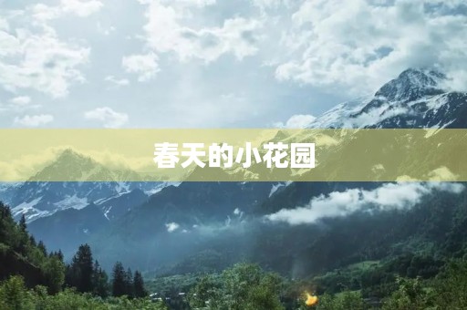 春天的小花园 春天的小花园