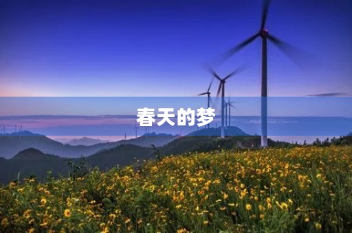 春天的梦 春天的梦