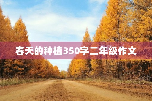 春天的种植350字二年级作文
