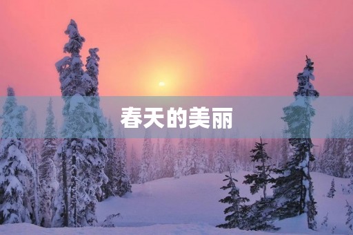 春天的美丽 春天的美丽