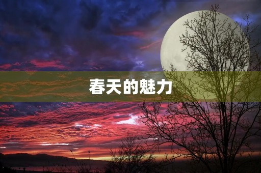 春天的魅力 春天的魅力