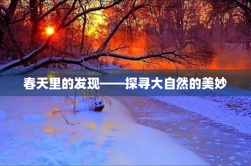 春天里的发现——探寻大自然的美妙 春天里的发现——探寻大自然的美妙