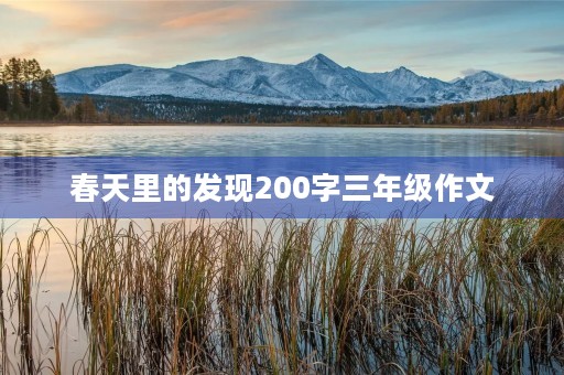 春天里的发现200字三年级作文 春天里的发现200字三年级作文