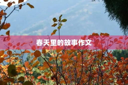 春天里的故事作文