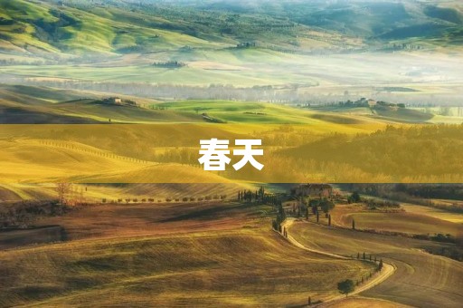春天，万物复苏的季节