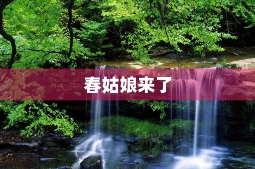 春姑娘来了