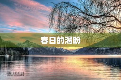 春日的渴盼