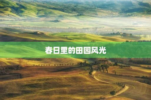春日里的田园风光