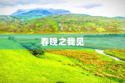 春晚之我见