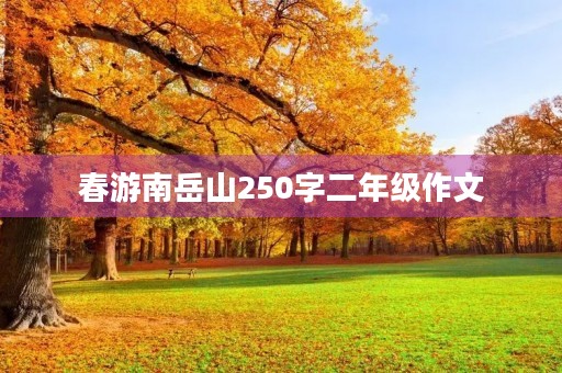 春游南岳山250字二年级作文