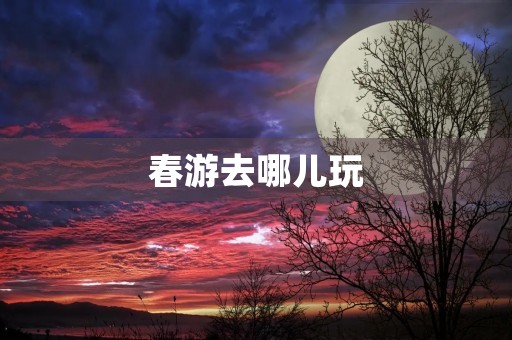 春游去哪儿玩
