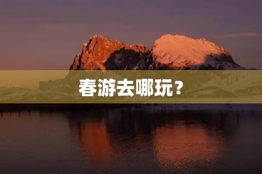 春游去哪玩？