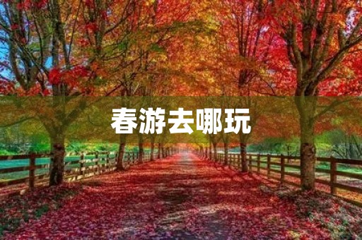 春游去哪玩