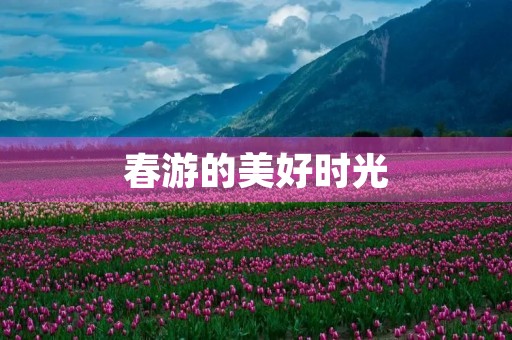 春游的美好时光 春游的美好时光