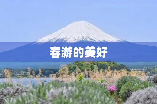 春游的美好