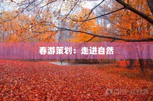 春游策划：走进自然，放松身心