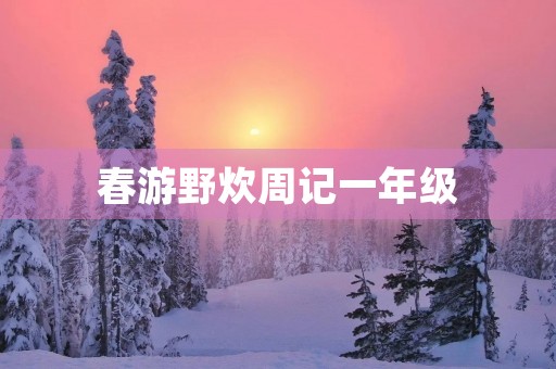 春游野炊周记一年级