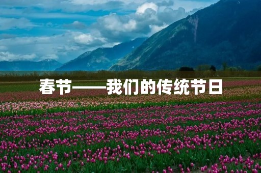 春节——我们的传统节日