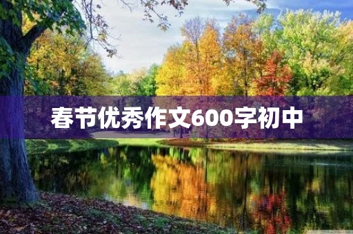 春节优秀作文600字初中 春节优秀作文600字初中