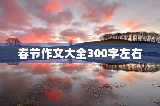 春节作文大全300字左右