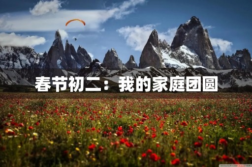 春节初二：我的家庭团圆