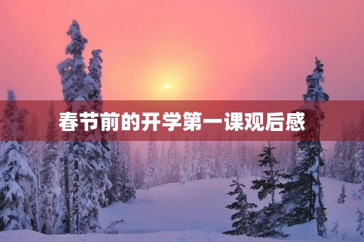 春节前的开学第一课观后感 春节前的开学第一课观后感
