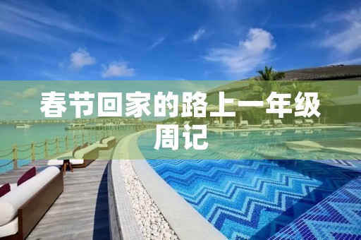 春节回家的路上一年级周记 春节回家的路上一年级周记