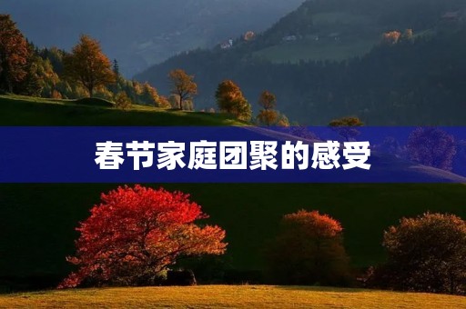春节家庭团聚的感受