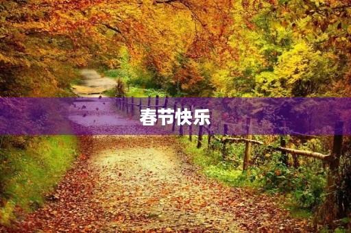 春节快乐 春节快乐
