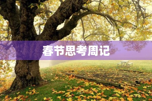 春节思考周记