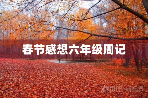 春节感想六年级周记 春节感想六年级周记