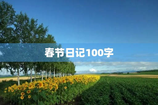 春节日记100字 春节日记100字