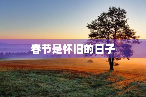 春节是怀旧的日子 春节是怀旧的日子