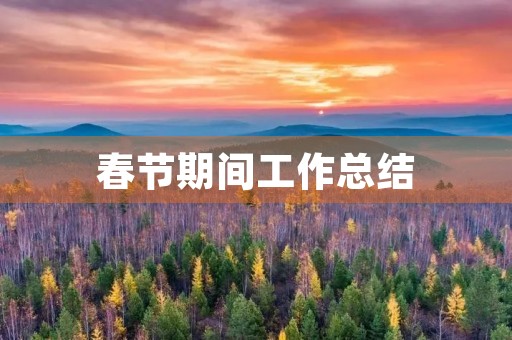 春节期间工作总结